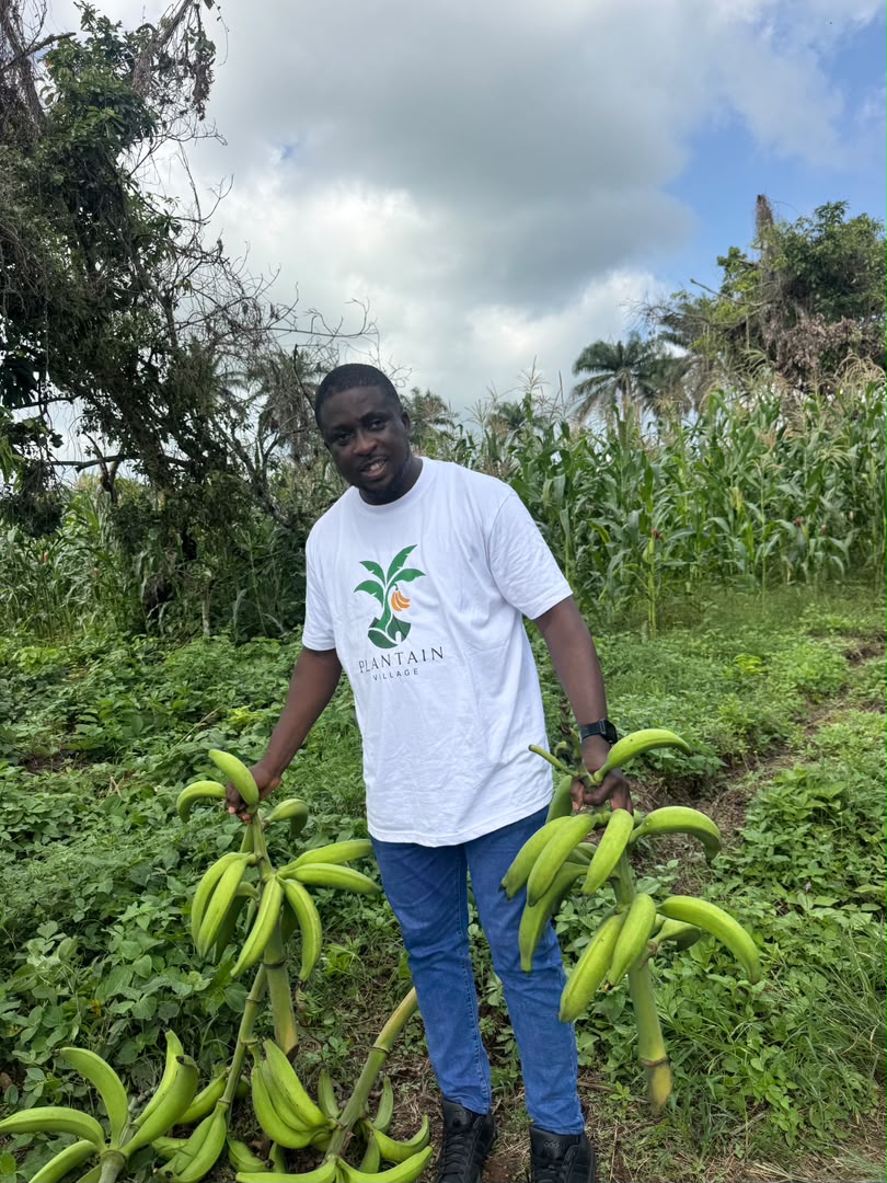 Plantain Village Farm Director holding harvested plantains